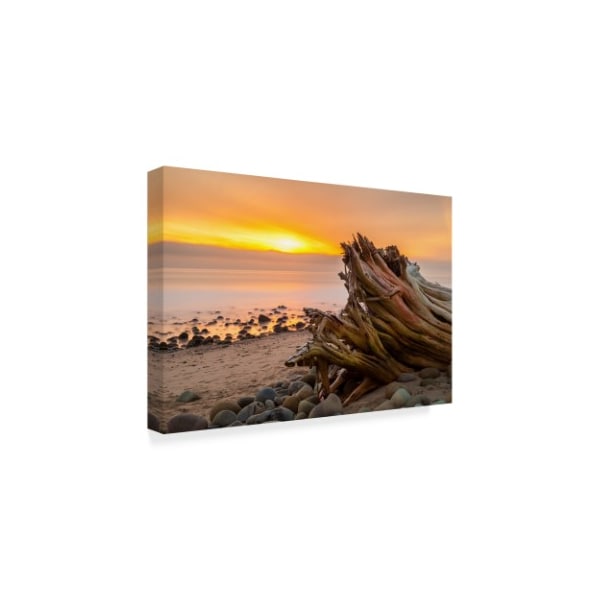 Chris Moyer 'Driftwood Sunset' Canvas Art,30x47